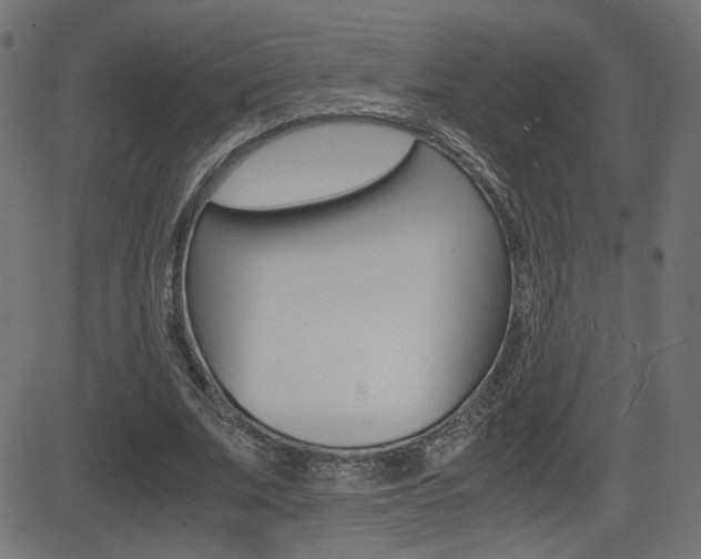 X0000081430679200701120920