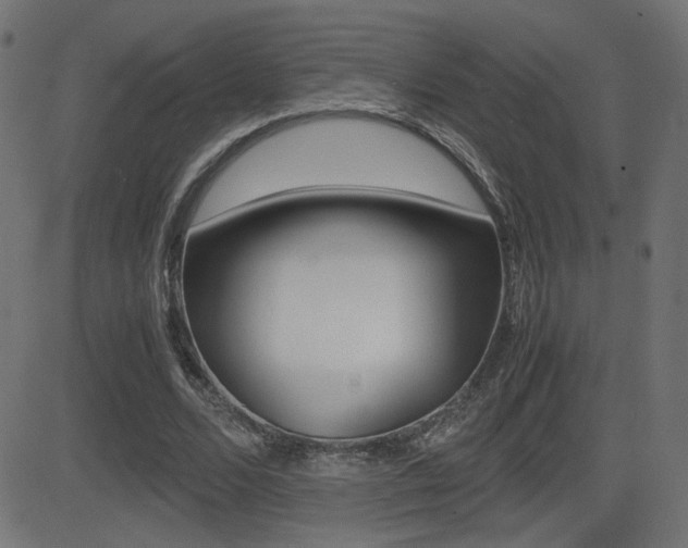 X0000081430680200701120920