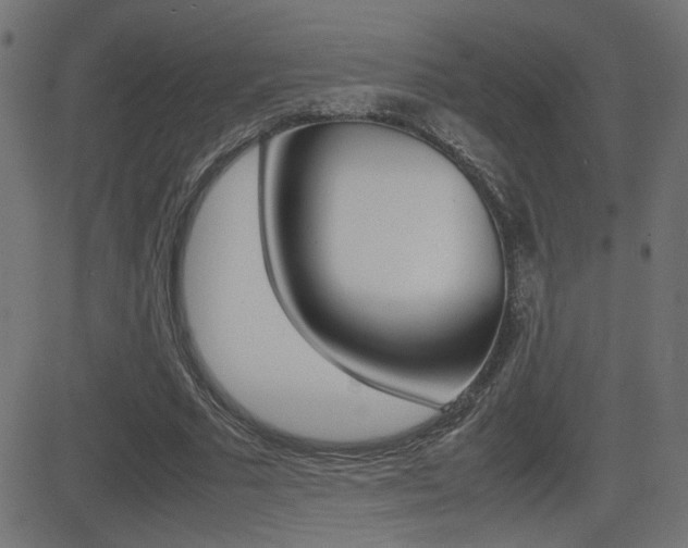 X0000081430681200701120920