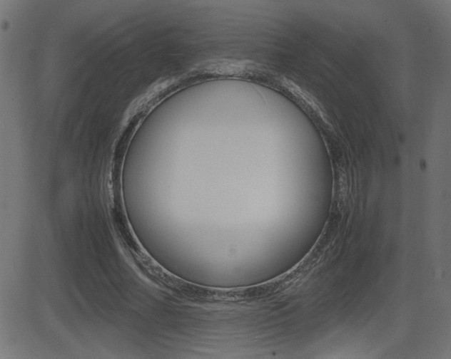 X0000081430682200701120920