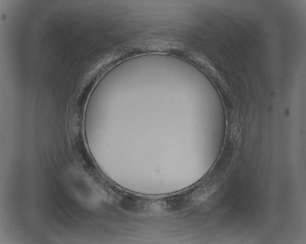 X0000081430683200701120919