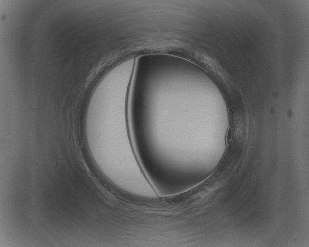 X0000081430685200701120919