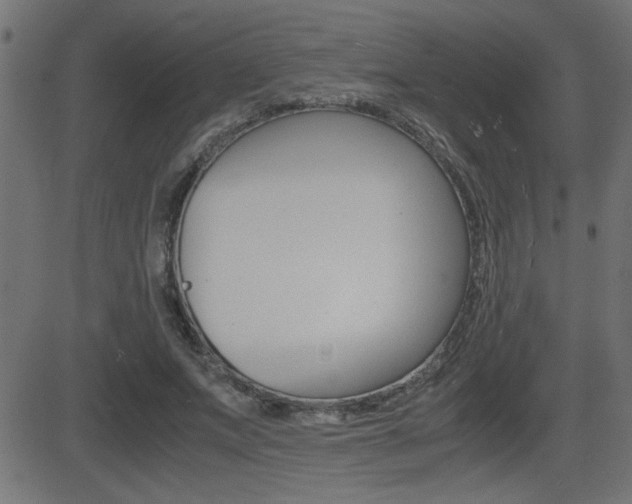 X0000081430687200701120919