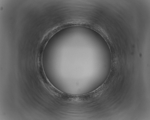 X0000081430688200701120919