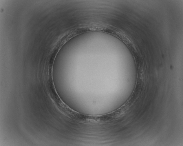 X0000081430690200701120919