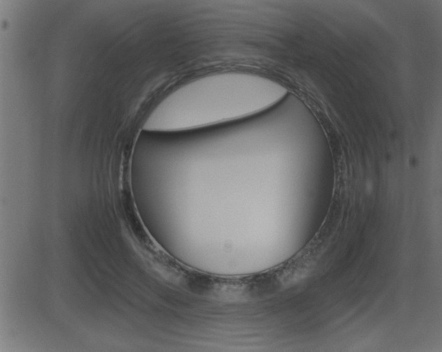 X0000081430694200701120919