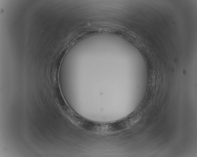 X0000081430695200701120919