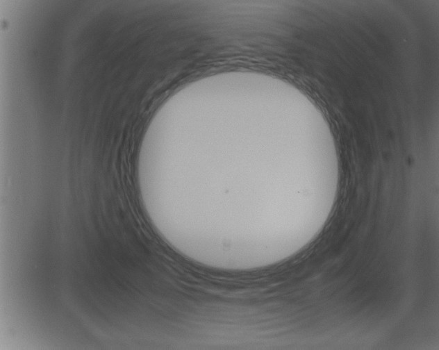 X0000081430705200701120919