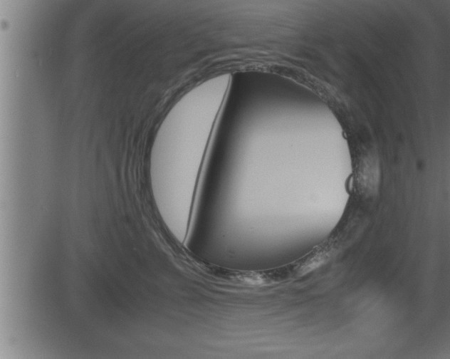 X0000081430715200701120919