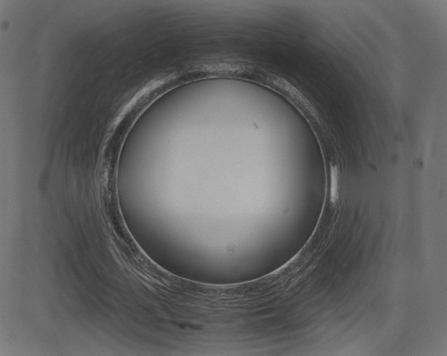 X0000081430723200701120918