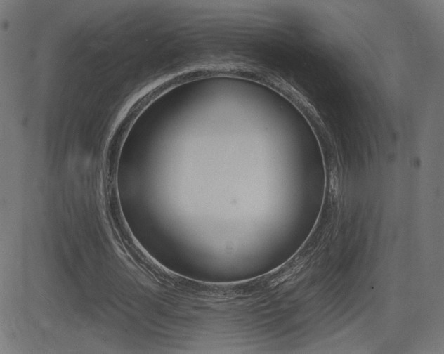 X0000081430724200701120918