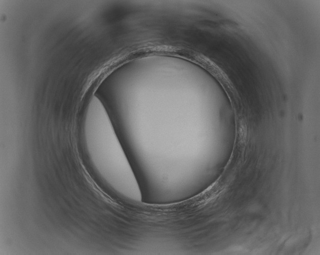X0000081430725200701120918