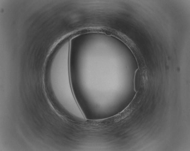 X0000081430728200701120918
