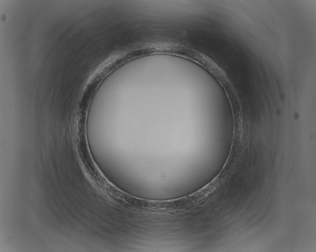 X0000081430730200701120918