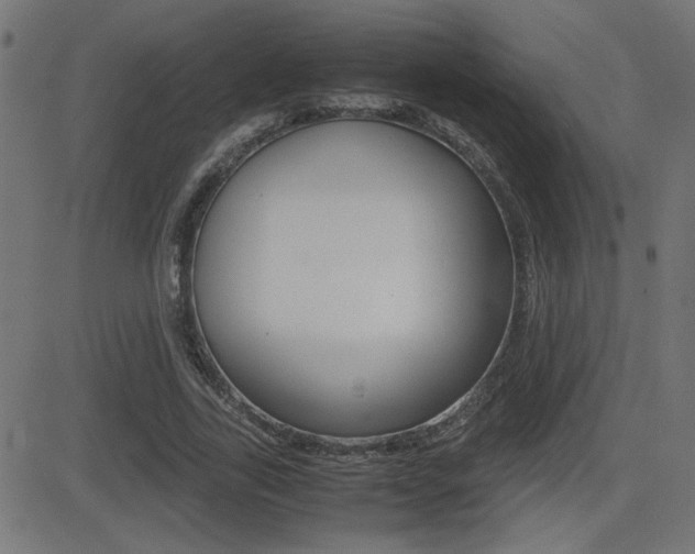 X0000081430731200701120918