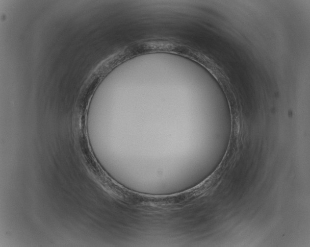 X0000081430733200701120918