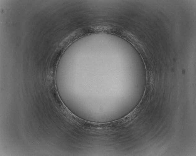 X0000081430737200701120918