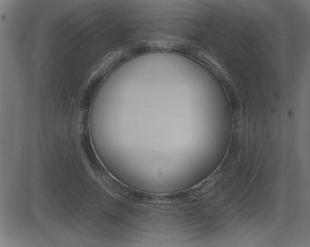 X0000081430738200701120918