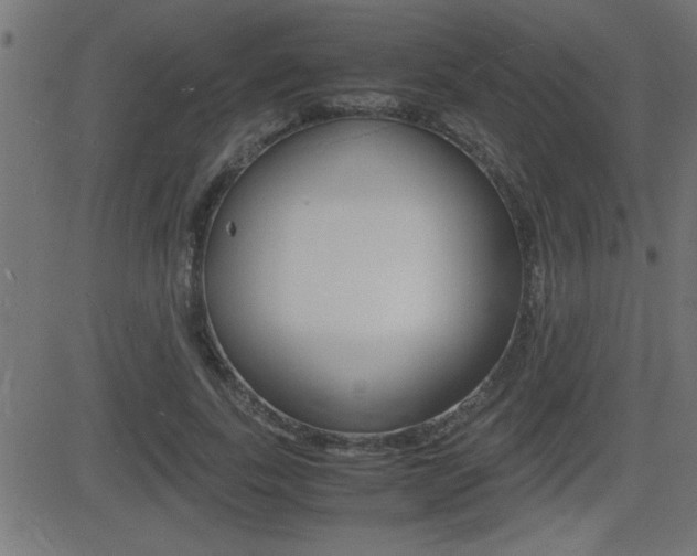 X0000081430739200701120918