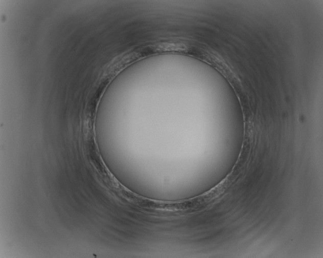 X0000081430741200701120918