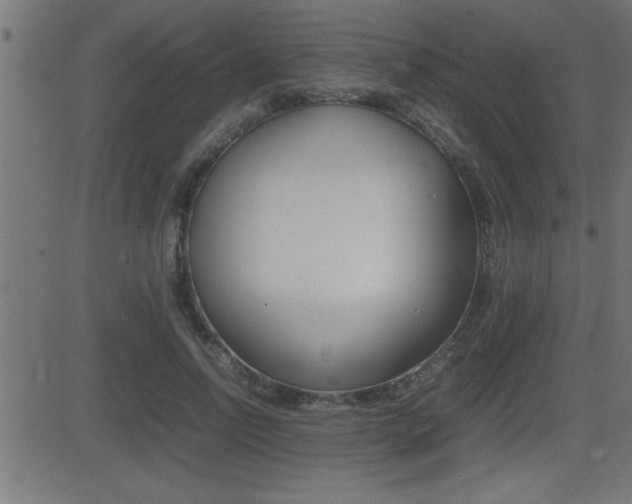 X0000081430742200701120918