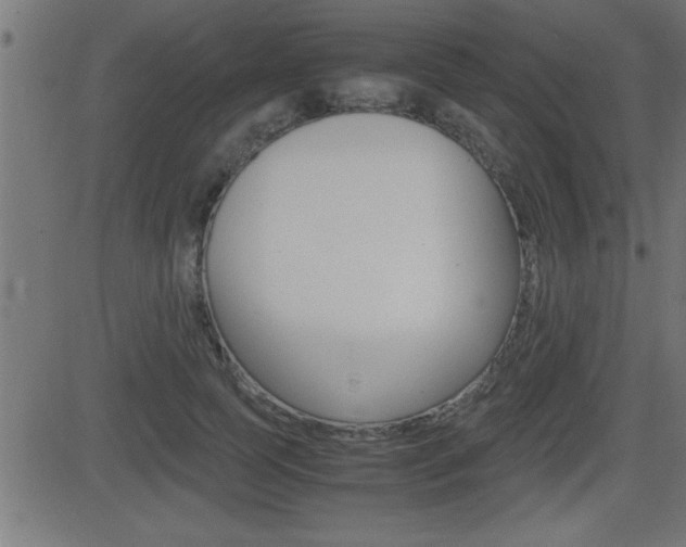 X0000081430745200701120918