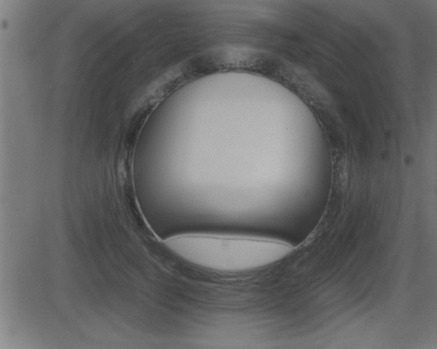 X0000081430746200701120918