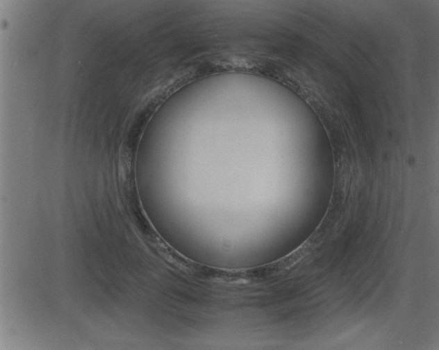X0000081430747200701120919