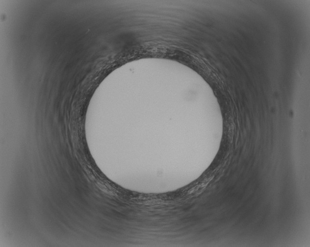 X0000081430769200701120918