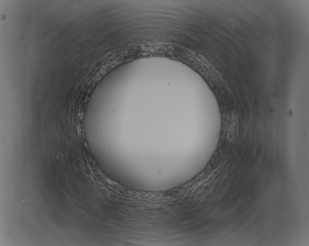 X0000081430770200701120918