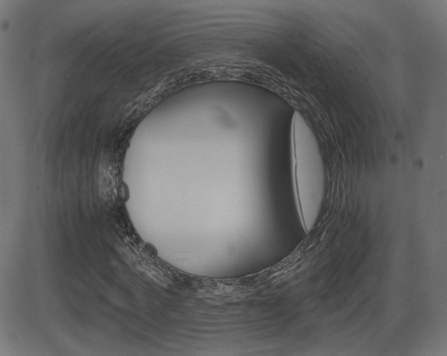 X0000081430772200701120918
