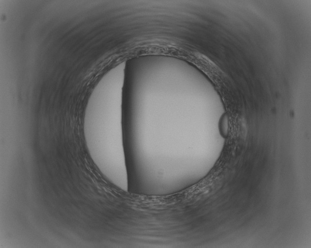 X0000081430774200701120918