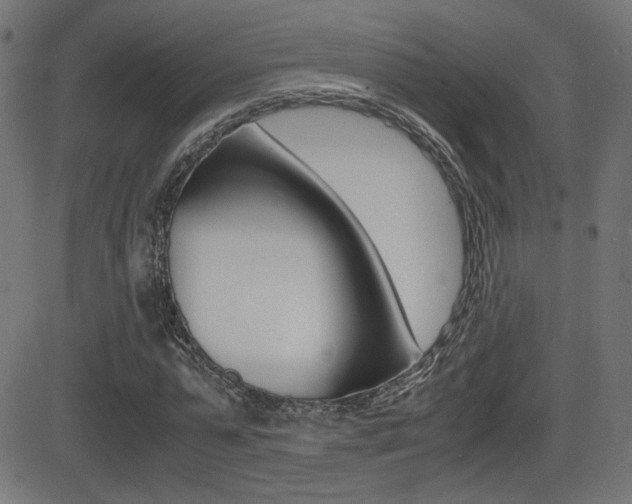 X0000081430775200701120918