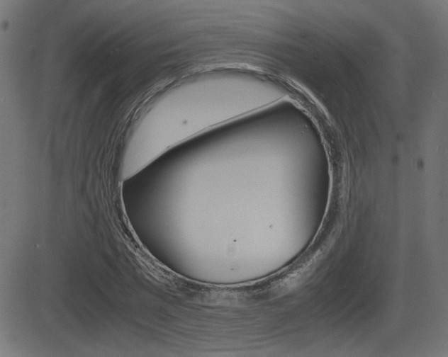 X0000081430777200701120918