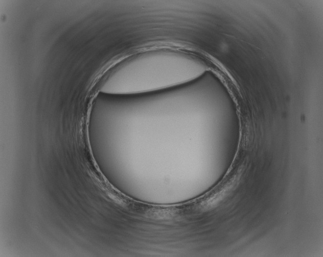 X0000081430778200701120918