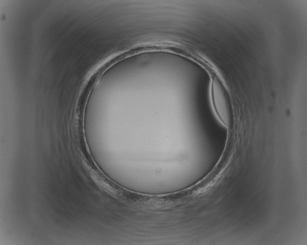 X0000081430779200701120918