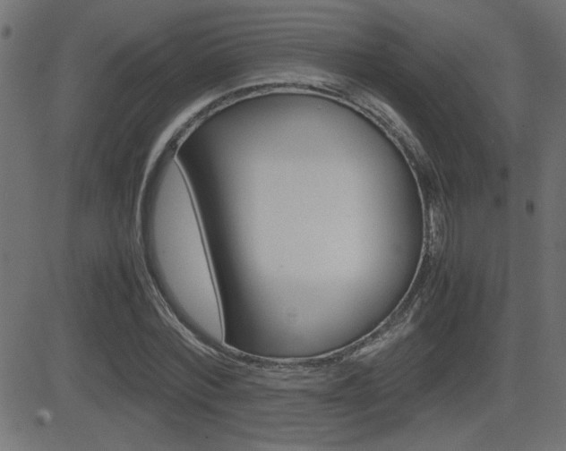 X0000081430780200701120918