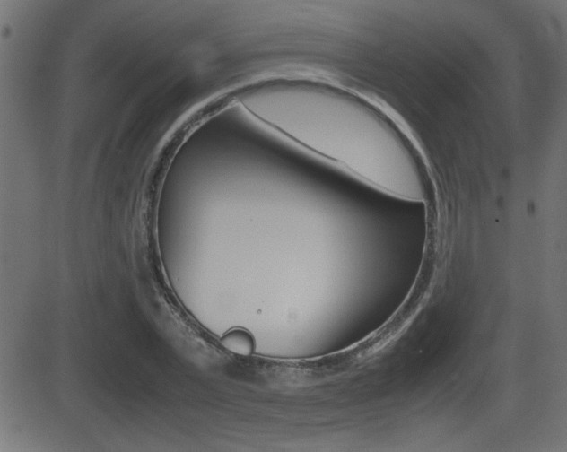 X0000081430783200701120918