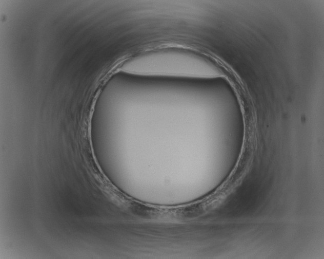 X0000081430785200701120918