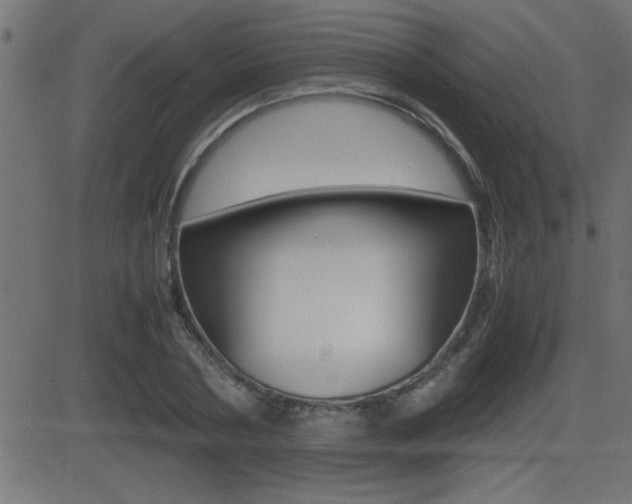 X0000081430786200701120918