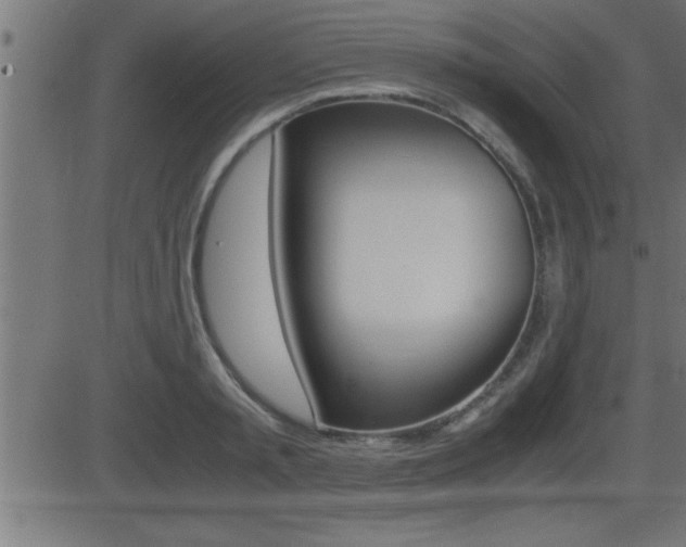 X0000081430797200701120918