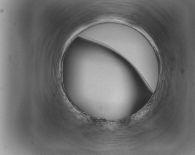 X0000081430815200701120917