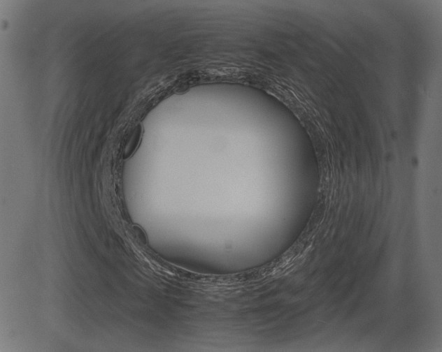 X0000081430817200701120917