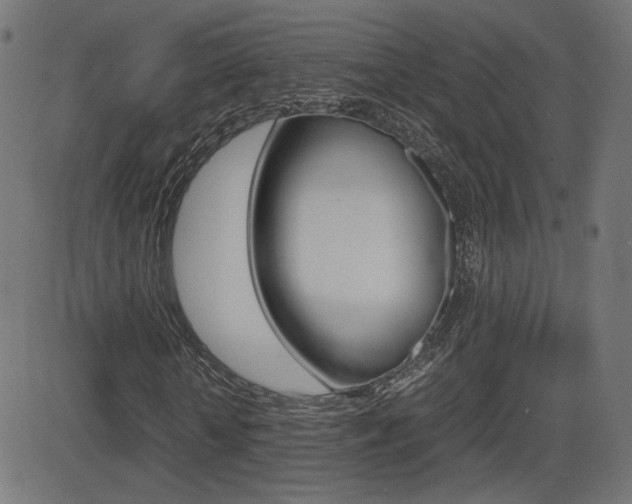 X0000081430818200701120917