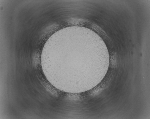 X0000081430820200701120917