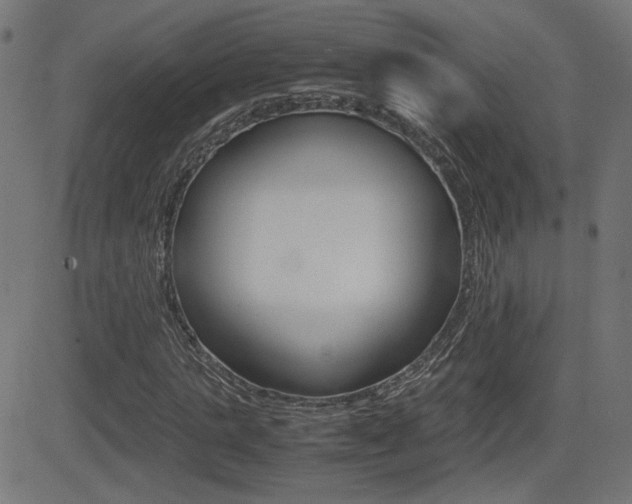 X0000081430821200701120917
