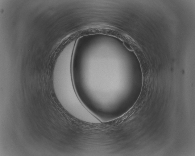 X0000081430822200701120917