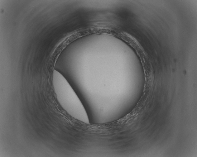 X0000081430823200701120917