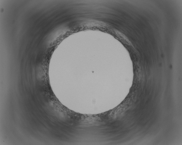 X0000081430824200701120917