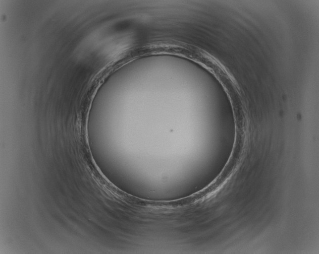 X0000081430825200701120917